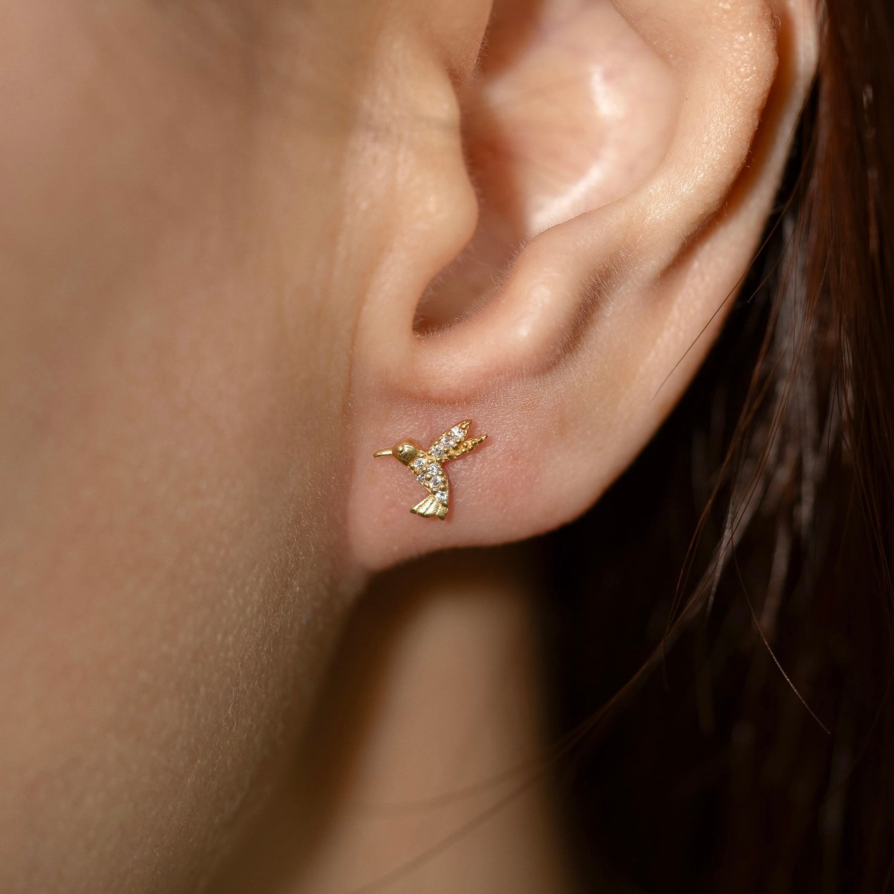 Aretes Colibrí