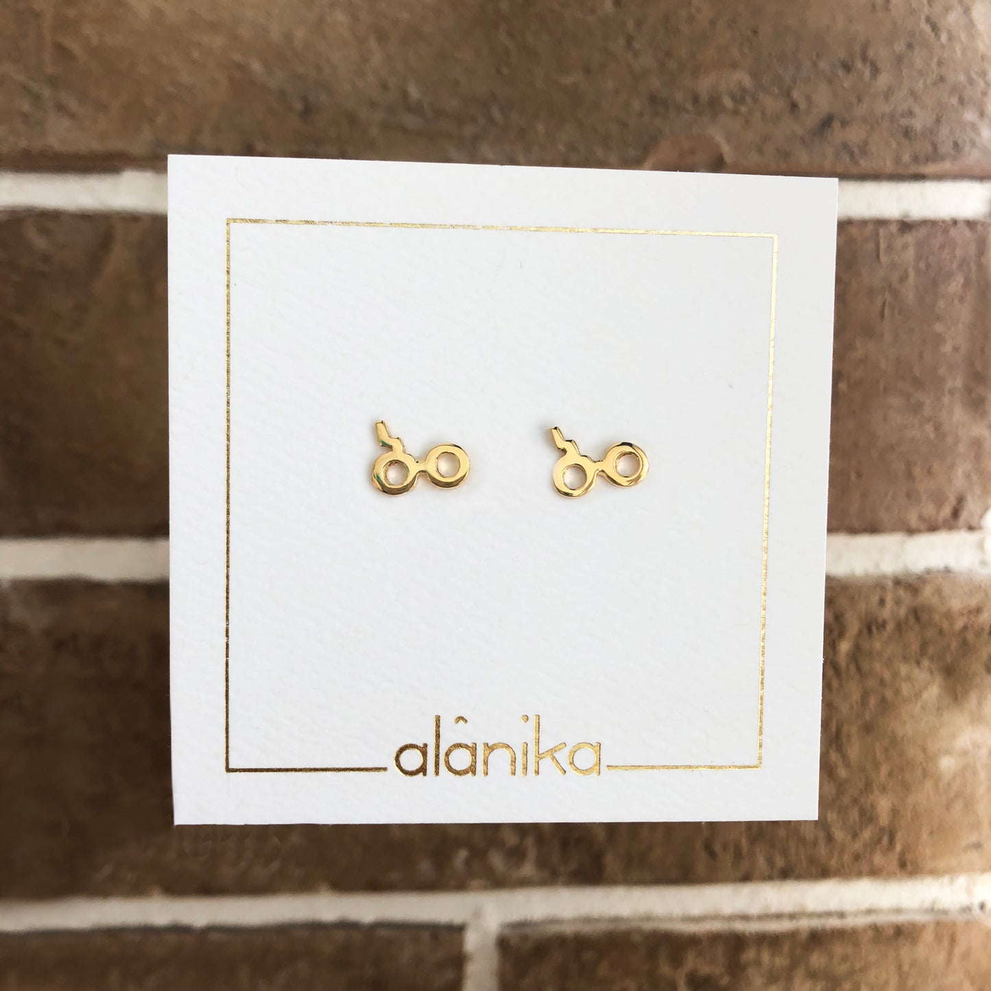 Aretes Lentes Harry Potter