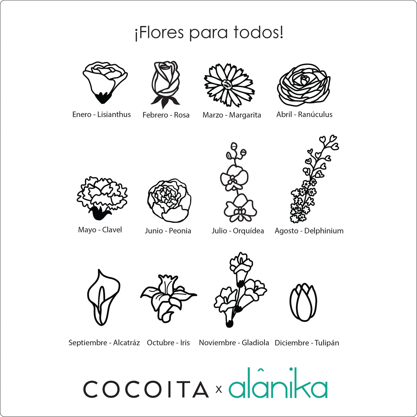 Collar Bouquet | Collab Cocoita ꕤ