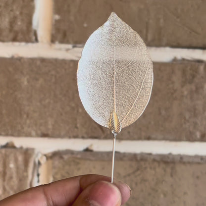 Boutonniere Hoja