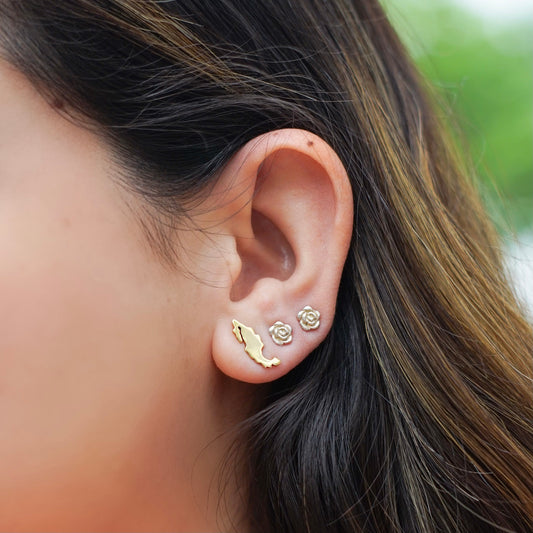 Aretes México